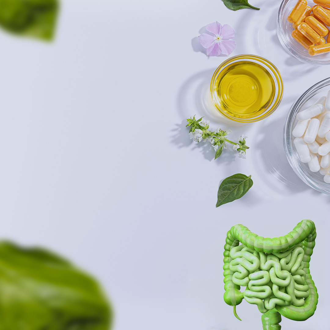 Nutrição e Fitoterapia na Disbiose